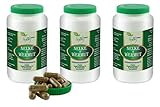 VITA IDEAL Vegan® Gewürz NELKE + WERMUTKRAUT 3x 360 KAPSELN -...